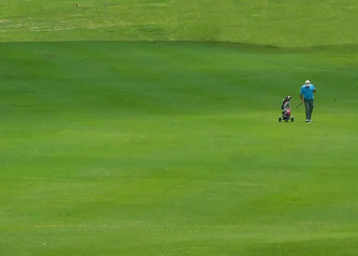 Poiana * 오르베텔로